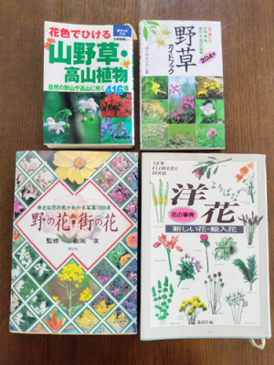 母の本