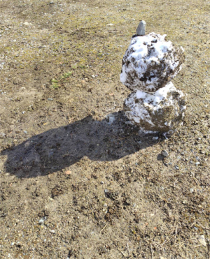 黒だるま 黒だるま